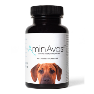 AminAvast